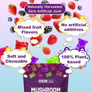 Oem Fabricage Met De Beste Service Voor Immuunondersteuning <span class=keywords><strong>Ashwagandha</strong></span> & Leeuwenmanen Gummies Supplement-Uitgebreide Paddenstoelgummy - Product Image 4