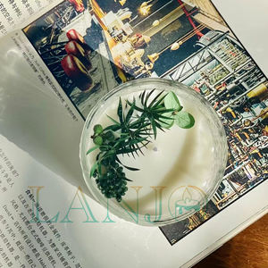 Vente en gros de cire de soja versée à la main arôme personnalisé bocal en verre de marque privée fleur sèche bougie parfumée velas de aromaterapia - Product Image 3