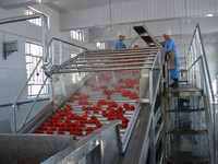 Turnkey full-automatische abrikoos perzik pruim jam verwerkingsbedrijf productie lijn maken machines
