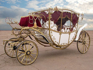Fabricant chinois de calèches électriques pour chevaux à vendre / calèche royale électrique pour chevaux - Product Image 3