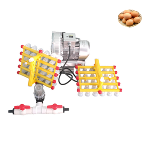 60 Pieces Suck Disk Vacuum Egg Lifter Vacuum Egg Sucker Machine Vacuum Egg Suction Machine - Product Image 2