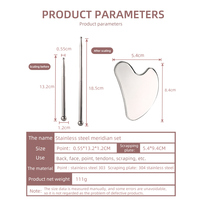 Stylo d'acupression rétractable pour la beauté de la peau, Planche Gua Sha en forme de cœur, Stylo d'acupuncture en acier inoxydable, Ensemble de massage