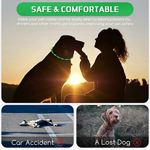 Collar Luminoso LED para Perro con Cinta de Silicona, Diseño Sólido, Carga USB, Ecológico, Hebilla Electrónica Moderna - Product Image 4
