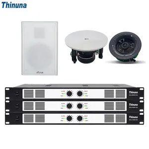 Thinuna DA-2300H Amplifier standar suara panggung, penguat daya Digital 2 saluran 300 Watt sistem alamat publik EU