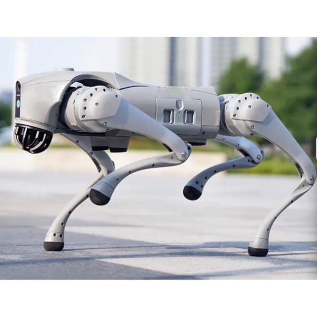 Robot Dog Quadruped Robotics for Embodied AI Robot Dog