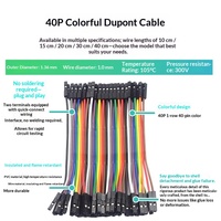 Connecteur de câble codé DuPont PVC 40 broches - Femelle-Femelle / Mâle-Femelle / Mâle-Mâle 10/20/30/40cm OEM ODM PCB Câble DuPont