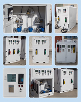 Station de carburant mobile portable de haute qualité 1000-10000L, mini-distributeur de carburant diesel et essence sur skid avec 2 tuyaux pour les Philippines