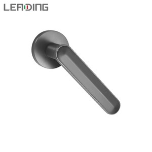 Poignée de <span class=keywords><strong>porte</strong></span> fendue en alliage de zinc gris fer brossé de qualité supérieure, avec cache-serrure, pour <span class=keywords><strong>porte</strong></span> intérieure en bois, vente directe usine - Product Image 1