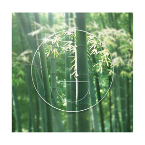 RX Lab 48 heures LIVRAISON RAPIDE 1.56 Blue Cut OPTO TECH <span class=keywords><strong>Lentilles</strong></span> <span class=keywords><strong>de</strong></span> Prescription <span class=keywords><strong>de</strong></span> conception <span class=keywords><strong>de</strong></span> confort d'équilibre progressif <span class=keywords><strong>de</strong></span> forme libre - Product Image 5