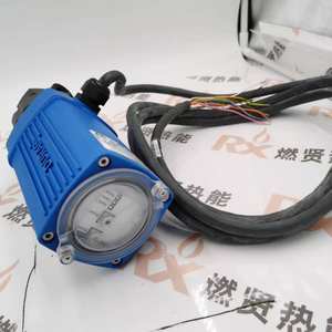 Detector de Chamas D-LX101 IG-30 para DURAG Hegwein, Detector de Chamas Infravermelho à Prova de Explosão, Estoque Integrado 20 - Product Image 2