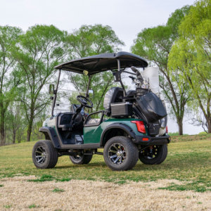 Carrito de Golf Eléctrico de 2 Plazas en Oferta, Motor de Alta Potencia de 3500W-7500W, 110 km de Autonomía, Carga Rápida, Certificado CE, DOT, GCC, EEC - Product Image 5