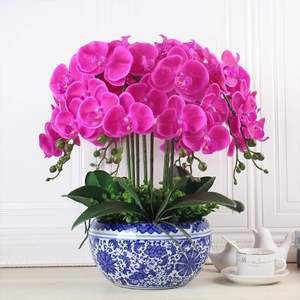 Orquídea Artificial de Alta Calidad con 8 Cabezas, Tacto Realista, Látex Blanco, Decoración de Lujo para Bodas - Product Image 4