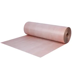 6650 Polyester Film Polyaramid Fiber Flexible Composite Nomex Polymer Paper Imide Filmnomex Nomex Paperdupon