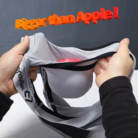 Caleçons ultra-souples pour homme avec pochette extra-large pour pénis, lingerie sexy en modal élastique pour pénis long, spécial gay, boxer érotique U-convexe