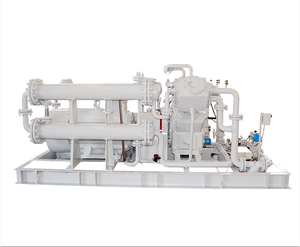 Compresseur de gaz mixte à diaphragme sans huile basse pression, volumétrique, antidéflagrant - Product Image 2