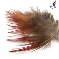 Plumes de poulet rouges naturelles pour la création de boucles d'oreilles, d'ailes, de attrape-rêves, d'activités créatives, de projets, de décorations de mariage, de fêtes et de maison