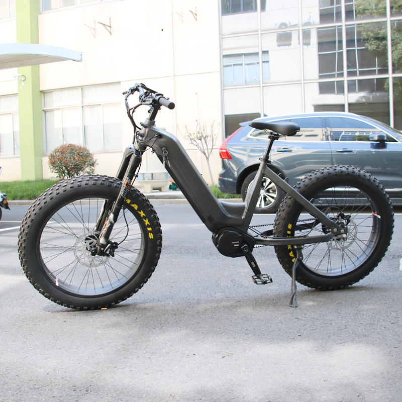 Shop High-End Bike Chainless Bicycles for All Ages