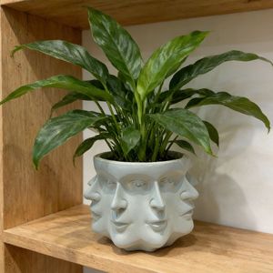Pot de fleurs créatif en résine en forme de visage, blanc, multifacettes, pour plantes d'intérieur et décoration de la maison - Product Image 1
