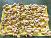 Gingembre frais de nouvelle saison à bas prix, gingembre chinois de haute qualité, approvisionnement en vrac
