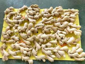 Baixo Preço 2025 Nova Safra Gengibre Fresco Chinês de Alta Qualidade Fornecimento a Granel de Raiz de Gengibre - Product Image 2