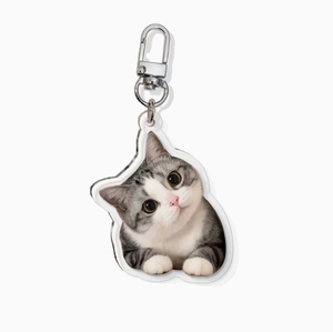 Porte-clés personnalisé en acrylique avec photo de chat, pendentif pour sac, logo de marque, Guangdong - Product Image 1
