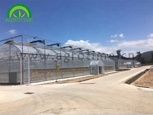 Serre multi-spans résistante au vent avec fenêtres automatiques - Fermeture automatique en cas de pluie/tempête pour protéger les cultures et les investissements - Product Image 6