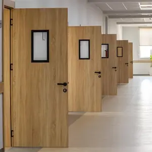 Pintu lapis internal Jerman kelas atas untuk ruang sekolah pintu kelas kayu dengan jendela pintu keamanan sekolah baru