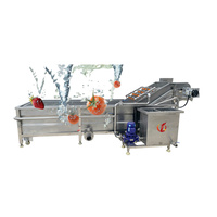 QD Industriële Bubbelwasmachine RVS Fruit- en Groentewasmachine voor Voedselverwerkingslijn
