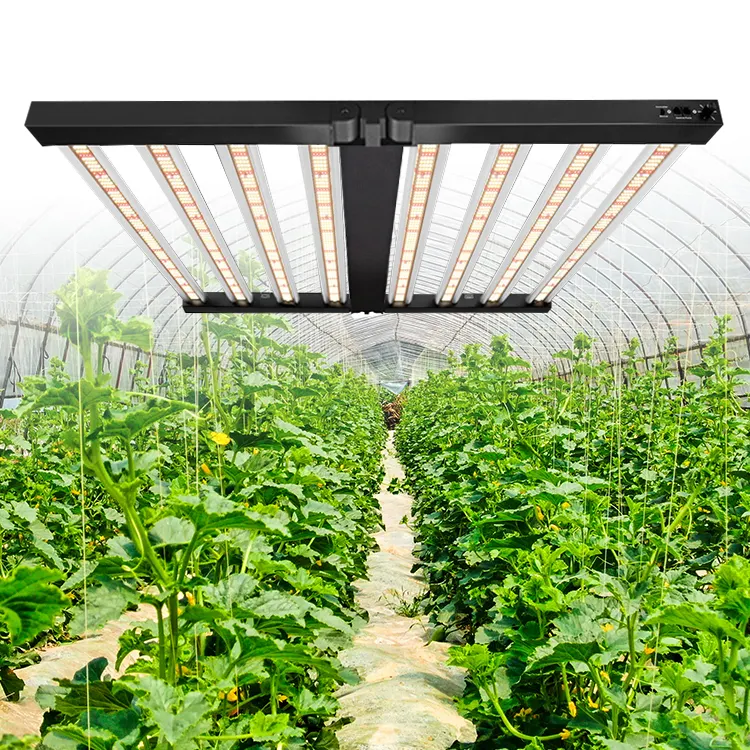 Idroponico Fullspectrum UV IR Led 640W 8 Bar crescono luce solare promuovere la crescita delle piante con le migliori vendite