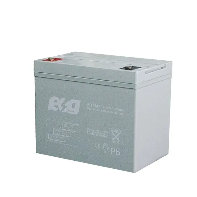 ESG Great Power Deep cycle 12volt 36volt 48volt 72volt 75ah 70ah 20ah 30ah Inverter AGM Gel Storage battery