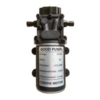 Pompe de désinfection par pulvérisation 12V/24V/48V/3215, grande pompe à reflux 100W, pompe de chaudière à grand débit
