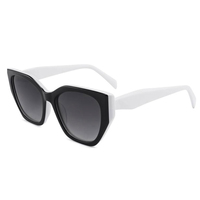 Lunettes de soleil polarisées œil-de-chat surdimensionnées en acétate de luxe, personnalisables avec logo, unisexes, tendance, haute qualité, collection 2026 pour femmes