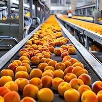 Geavanceerde multifunctionele verwerkingslijn voor perziken, abrikozen en pruimen met PLC-pompmotor voor het maken van sap, puree, jam en ingeblikt fruit.