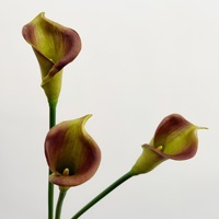 Lys Calla artificiels réalistes en PU blanc, doux au toucher, décorations pour mariages et célébrations, décoration intérieure