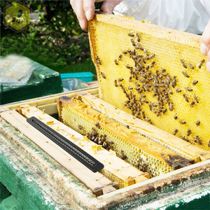 Outils d'apiculture approvisionnement d'usine en plastique abeille <span class=keywords><strong>ruche</strong></span> coléoptère blaster piège noir <span class=keywords><strong>ruche</strong></span> nid d'abeille coléoptère piège - Product Image 6