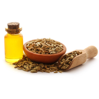 Huile de graines de fenouil en vrac organique Huile de fenouil doux Huile essentielle de fenouil d'Indonésie Saveur de prix