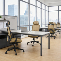 Silla de Oficina Ergonómica Moderna de Malla con Respaldo Alto, Silla de Escritorio Económica para Oficina y Hogar