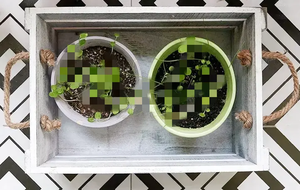 Art populaire mariage caisses <span class=keywords><strong>vintage</strong></span> stockage décoratif caisses en bois - Product Image 4