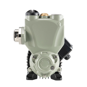 300W Autoadescante <span class=keywords><strong>Pompa</strong></span> <span class=keywords><strong>Acqua</strong></span>, <span class=keywords><strong>Serbatoio</strong></span> di <span class=keywords><strong>Acqua</strong></span> Calda ac 220v mini <span class=keywords><strong>pompa</strong></span> ad <span class=keywords><strong>acqua</strong></span> - Product Image 3
