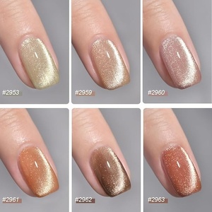Kit de vernis à ongles gel effet œil de chat avec aimant, argenté, marron, rose, corail holographique, pour manucure en salon et nail art DIY - Product Image 3