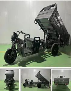 Adult 3 Wheel Electric Powered Cargo Bicycle with Cargo Boxes with EEC Certificate