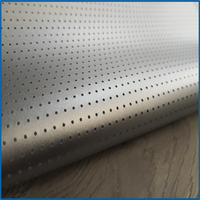 Écran de projection 3D micro-perforé pour le cinéma Écran acoustiquement transparent Écran perforé pour le théâtre 3D
