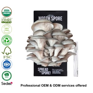 <span class=keywords><strong>Kit</strong></span> de <span class=keywords><strong>culture</strong></span> de <span class=keywords><strong>champignons</strong></span> Blue Oyster Eco Friendly 'Spray & Grow' <span class=keywords><strong>Kit</strong></span> de plantes scientifiques - Product Image 2