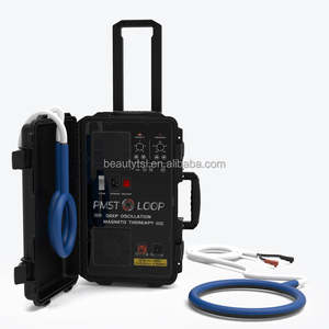 यूरोपीय संघ में गर्म यूएस इलेक्ट्रो चुंबकीय तरंग थेरेपी मशीन के लिए पैम्फ दर्द में कमी चुंबकीय चिकित्सा उपकरण घोड़े - Product Image 5