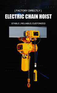 Vanbon 0.5 Ton <span class=keywords><strong>Electric</strong></span> <span class=keywords><strong>Chain</strong></span> <span class=keywords><strong>Hoist</strong></span> Motor <span class=keywords><strong>Trolley</strong></span> Kapasitas 500kg Kondisi Baru Bahan Logam untuk Ritel Hotel Harga Terjangkau - Product Image 4