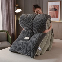 Vente directe usine – Couette d'hiver épaisse et chaude en sherpa, couette en velours d'agneau, couette moelleuse, ensemble de draps de lit d'hiver, couvertures