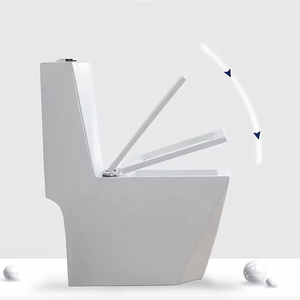 Inodoro moderno de una pieza, inodoro montado en la pared, forma de cuenco redondo, drenaje de trampa P, nuevo modelo, artículos <span class=keywords><strong>sanitarios</strong></span>, uso doméstico a granel, Material de PP para Hotel - Product Image 6