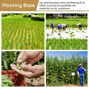 Healthife Hữu Cơ gạo nâu protein bột 300 lưới EU & USDA non-biến đổi gen dinh dưỡng Enhancer - Product Image 2