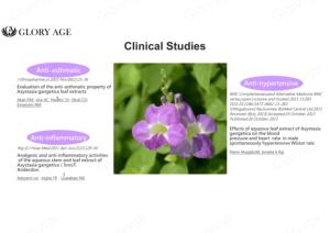 วัตถุดิบทางเคมีสารสกัดจาก Primula vulgaris สำหรับทำผลิตภัณฑ์อินทรีย์และอินทรีย์เครื่องสำอาง - Product Image 4