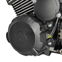 Moteurs de Moto Refroidis par Air Zongshen 250cc, Moteur 250cc pour Dirtbike TM250cc avec Démarrage Électrique, Double Cylindre Zongshen TM250